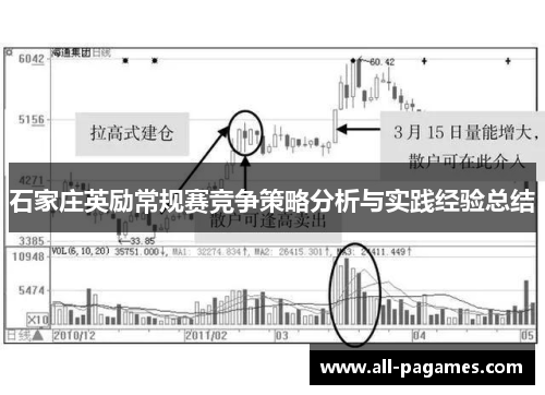 石家庄英励常规赛竞争策略分析与实践经验总结