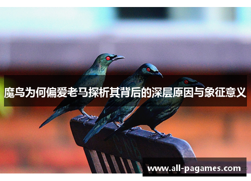 魔鸟为何偏爱老马探析其背后的深层原因与象征意义